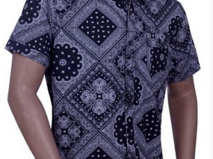 Short Sleeve Rayon Fabric Men Shirt..