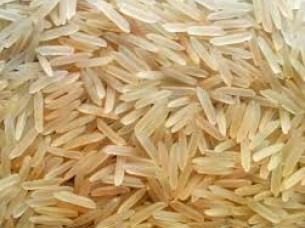 Basmati Parboiled Golden Rice Pusa/Sella Basmati rice..