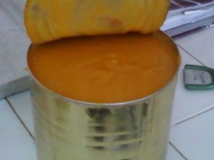 Canned Mango Pulp Exporter..
