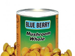 Wholesale High Quality Canned Mushroom..