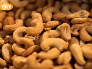 Cashew Nuts SW-180..