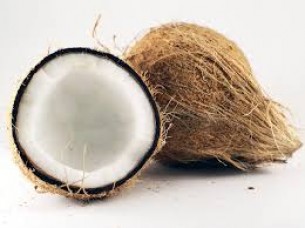 Fresh Quality Coconut..