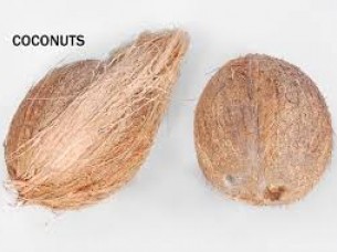 Coconut Supplier From Indian Origin..