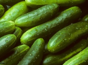 Selling Cheap Gherkins for Pickle..