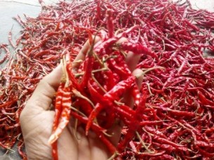 S 14 Dry Red Chilli For Malaysia..
