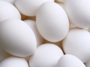 Supplier of white Farm Fresh Eggs..