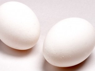 Healthy White Shell Eggs For Export..