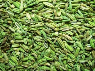 New Variety Fennel Seeds..