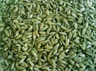 Wholesale Price Fennel Seed..