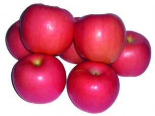 Indian Origin Fresh Apples Kashmir Apples/Himachal Apples/..