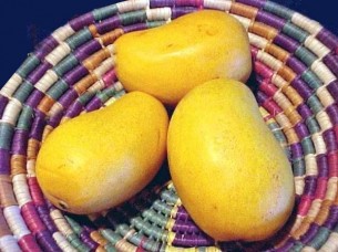 Fresh Mango Best Quality..