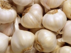 Fresh Indian White Garlic Supplier..