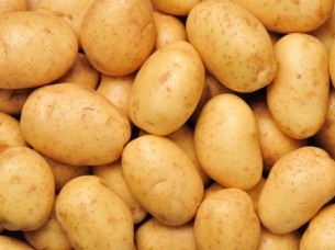 Fresh Indian Potatoes Supplier..