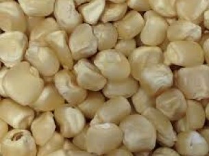 Grade 1 Human Consumption White Maize..