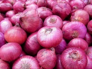 Fresh Red Onion Supplier..