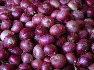 Fresh Onion Exporter from India..