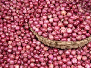 Best Quality Red Onion Supplier..