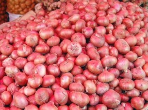 Fresh Onion Supplier to UAE..
