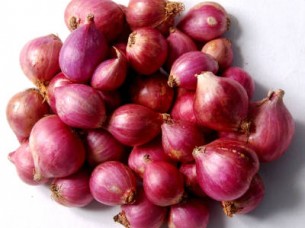 Onion Exporter from India..