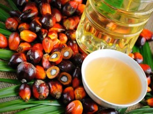 Palm Oil refined For Cooking..