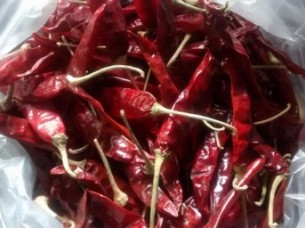 Red Chilli Dried..