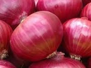 Nashik Red Onion Supplier..