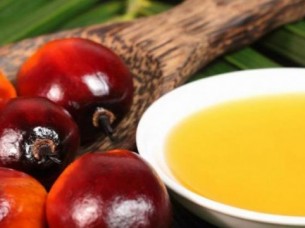 Grade A Refined Palm Oil..