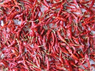 Hot Red Dried Chilli For Malaysia..