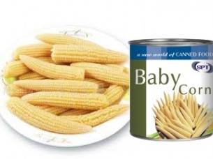 Canned Baby Corn..