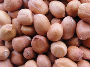 High quality Peanut Kernels from India..