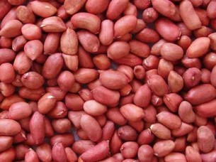 Best quality red Peanuts Kernels From india..