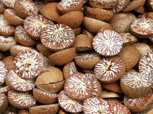 Best Quality Competitive Price Betel Nuts..