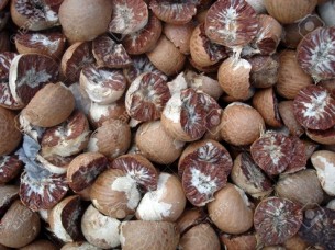 Quality Betel Nuts For Sale..