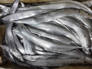 Natural Dried Ribbon Fish..