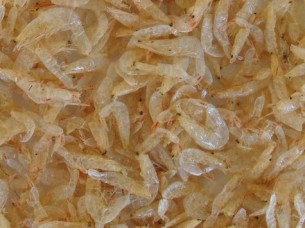 Dried Tiny Shrimps..
