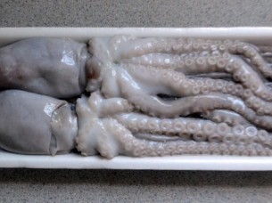 Frozen Octopus..