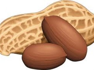 Best Quality Peanut..