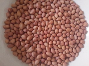Red Skin Raw Peanut without shell..