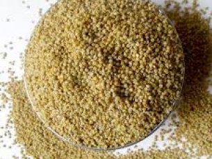 High Quality Millet from India..