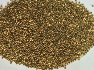 High Quality Millet..