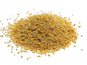 Yellow Millet for Bird Feed..