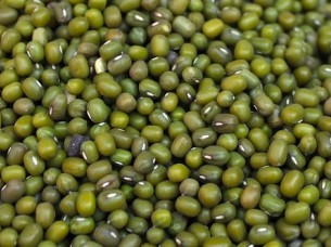 High Quality Green Mung Beans..