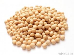 Organic Soybeans..