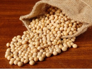 Best Quality Soybeans..