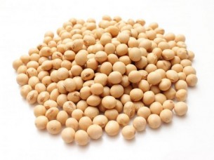 Best Grade Soybeans..