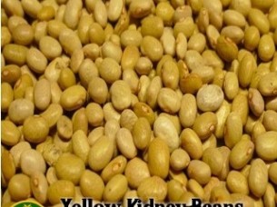 Yellow Kidney Beans..