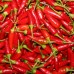 Export Quality Dried Red Chilli