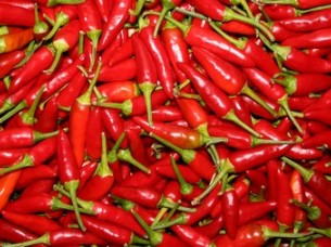 Dried Chilli /Red Pepper Exporter..