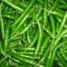 Green Chilli Exporter