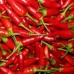 Dried Chilli /Red Pepper Exporter